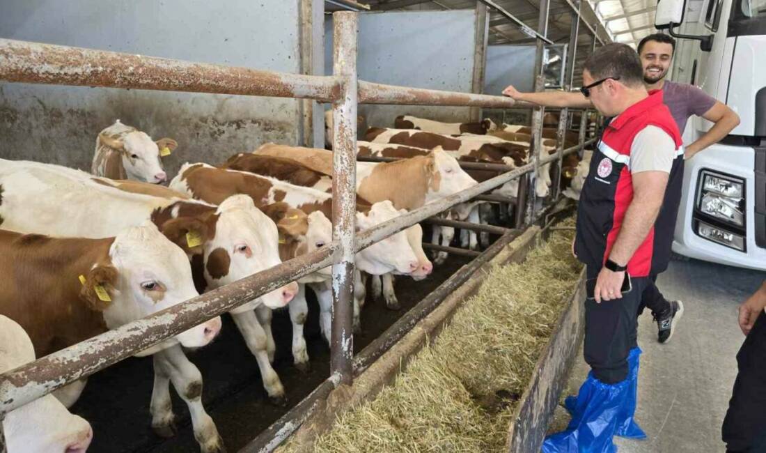 Bursa’da hayvan yetiştiricilerine sıkı denetim Bursa’nın Orhaneli ilçesinde Tarım ve Orman Müdürlüğü ekipleri hayvan yetiştiren