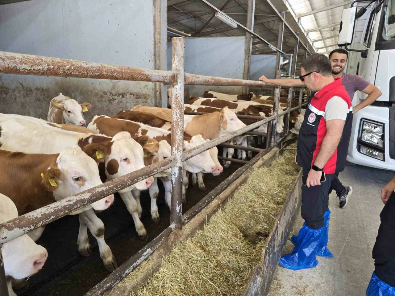 Bursa’da hayvan yetiştiricilerine sıkı denetim Bursa’nın Orhaneli ilçesinde Tarım ve Orman Müdürlüğü ekipleri hayvan yetiştiren