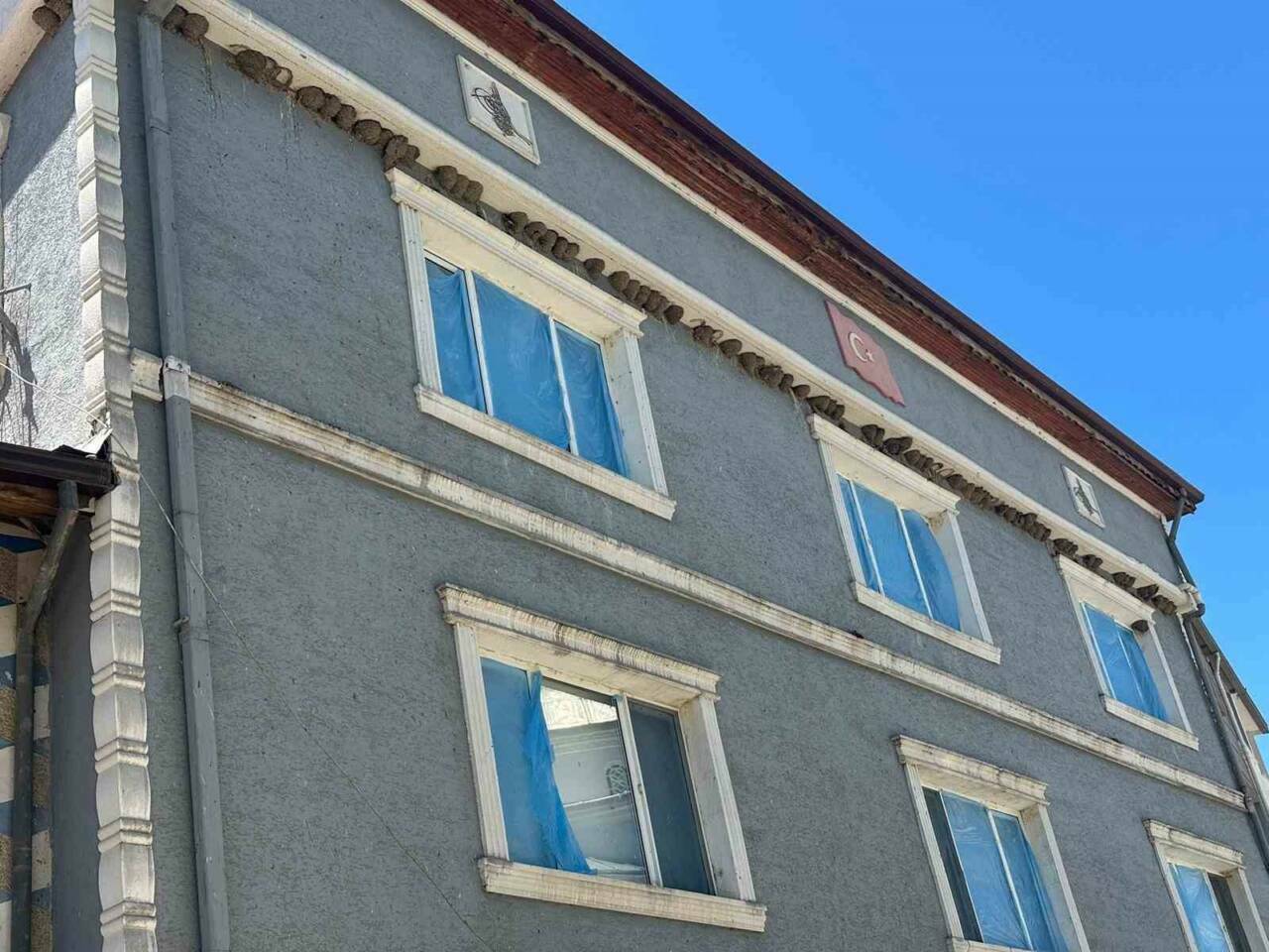 bursada her yil yuzlerce kirlangic o eve gidiyor 21d3610e87e5