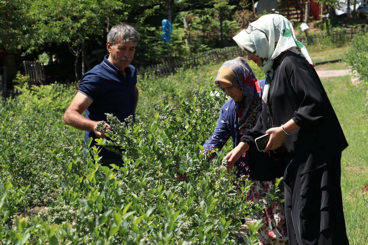 Bursa'da ilham veren başarı hikayesi! Pandemide verdiği karar hayatını değiştirdi 6 bursada ilham veren basari hikayesi pandemide verdigi karar hayatini degistirdi 0c3bc48fd687
