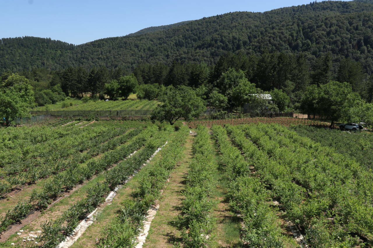 Bursa'da ilham veren başarı hikayesi! Pandemide verdiği karar hayatını değiştirdi 4 bursada ilham veren basari hikayesi pandemide verdigi karar hayatini degistirdi 1dfe61de3453