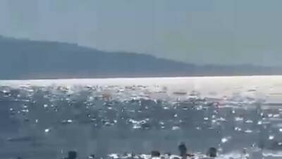 Bursa’da serinlemek için denize gelen baba ve 2 kızı, boylarının