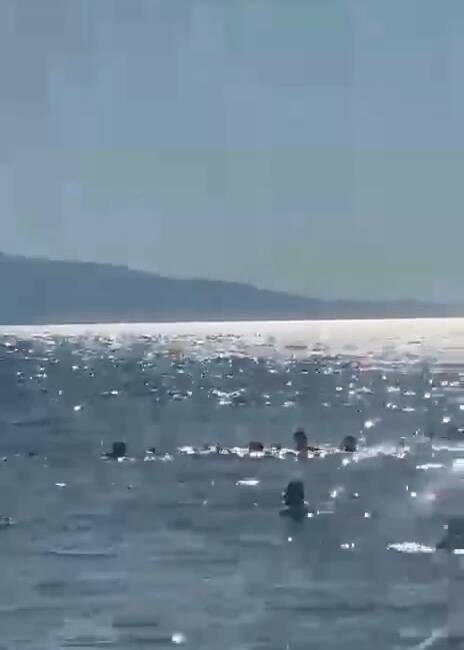 Bursa’da serinlemek için denize gelen baba ve 2 kızı, boylarının