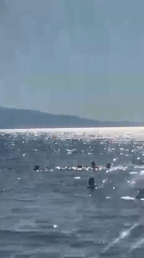 Bursa'da Kumsaz sahilinde korku dolu anlar: Baba-kız ölümden döndü! 3 bursada kumsaz sahilinde korku dolu anlar baba kiz olumden dondu a458a7fd36d9