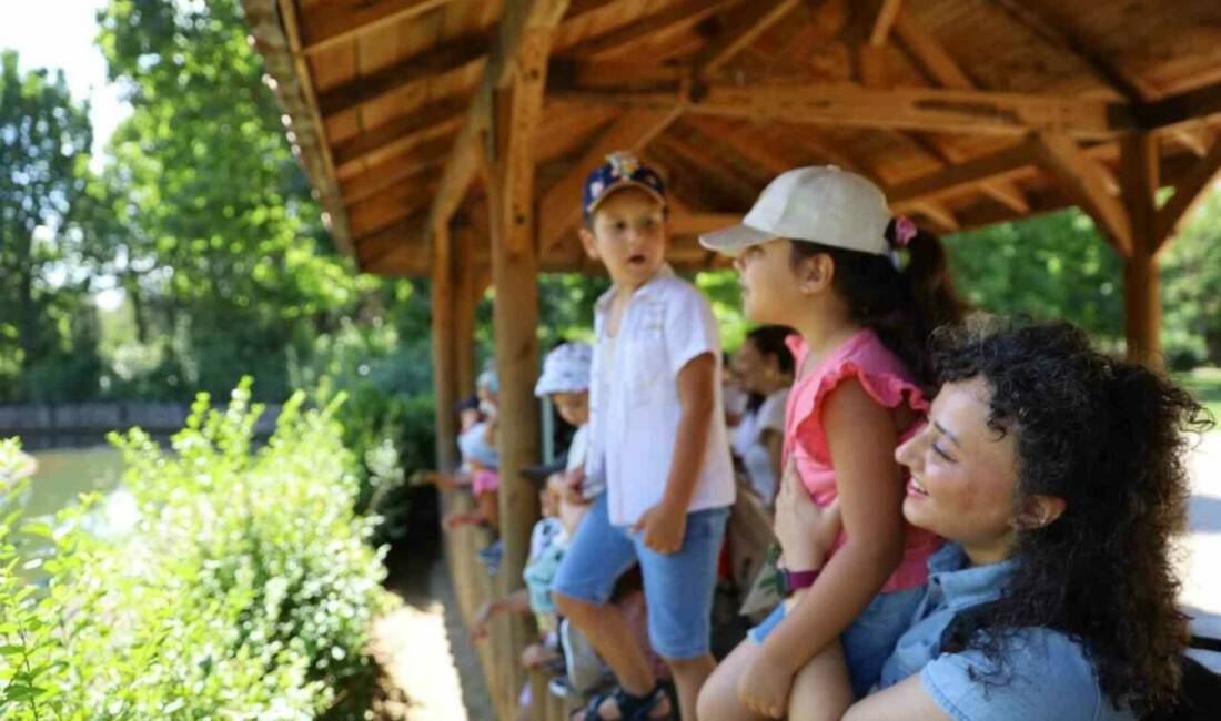 Bursa’da minik kaşifler hayvanat bahçesinde Bursa Büyükşehir Belediyesi, çocukların yaz tatilini daha verimli ve eğitici