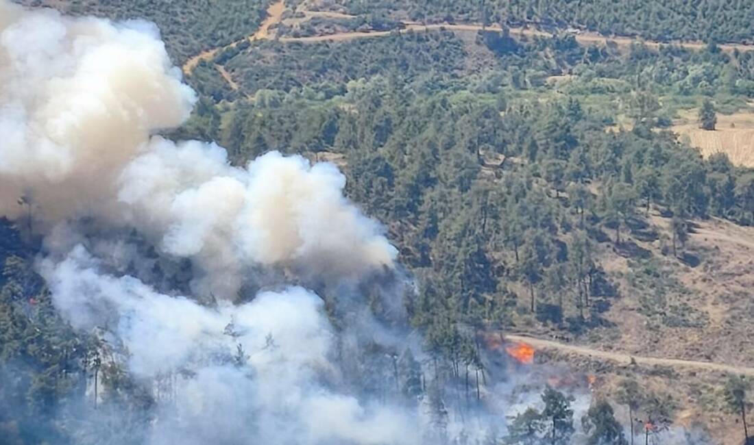 Bursa’daki yangınla ilgili yeni gelişme! Bursa’nın Büyükorhan ilçesinde otluk alanda başlayarak ormanlık alana sıçrayan yangın,