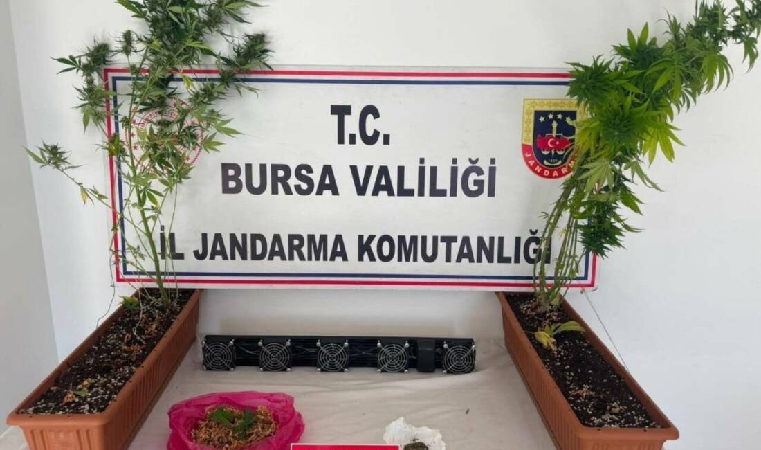 Bursa'da jandarmanın düzenlediği uyuşturucu operasyonunda 3 şüpheli, gözaltına alındı.