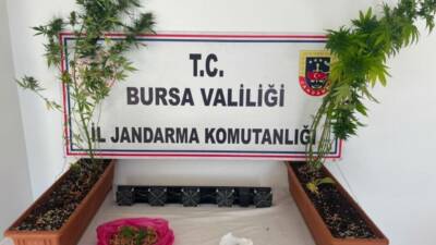 Bursa'da jandarmanın düzenlediği uyuşturucu operasyonunda 3 şüpheli, gözaltına alındı.