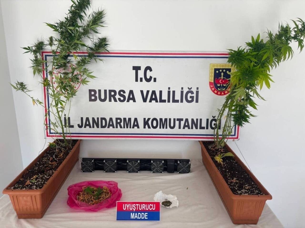 Bursa’da uyuşturucu operasyonu! Gözaltılar var… Bursa'da jandarmanın düzenlediği uyuşturucu operasyonunda 3 şüpheli, gözaltına alındı.