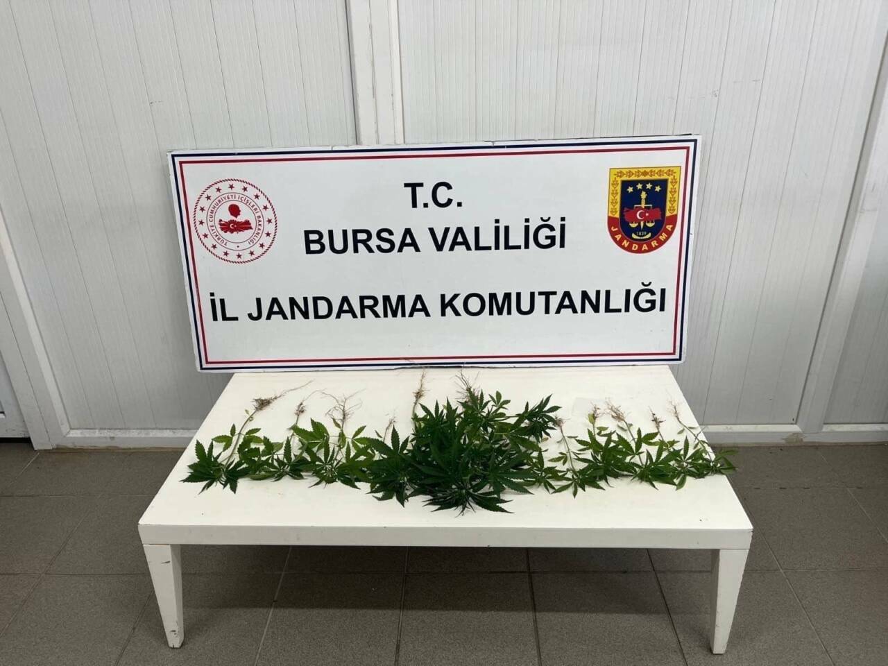 bursada uyusturucu operasyonu gozaltilar var fff9c88878c1