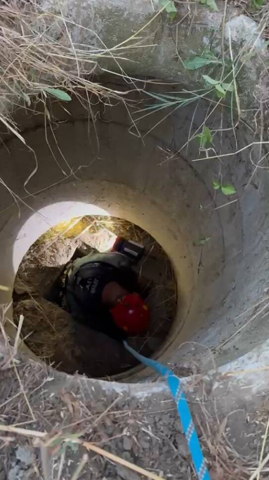 Bursa'da yürek ısıtan kurtarma anı 1 bursada yurek isitan kurtarma ani a8cb634fa73d