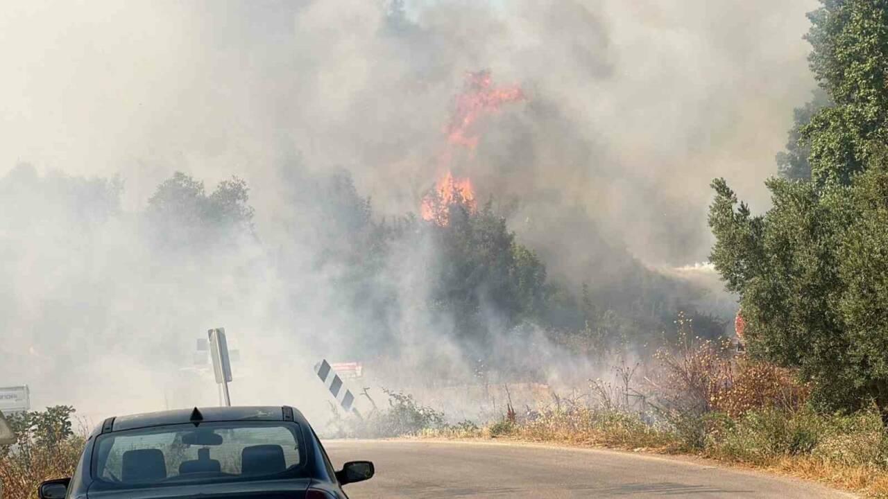 Bursa'daki yangında çiftçilerin mücadelesi kamerada! 1 bursadaki yanginda ciftcilerin mucadelesi kamerada 4e7a42ec1b08
