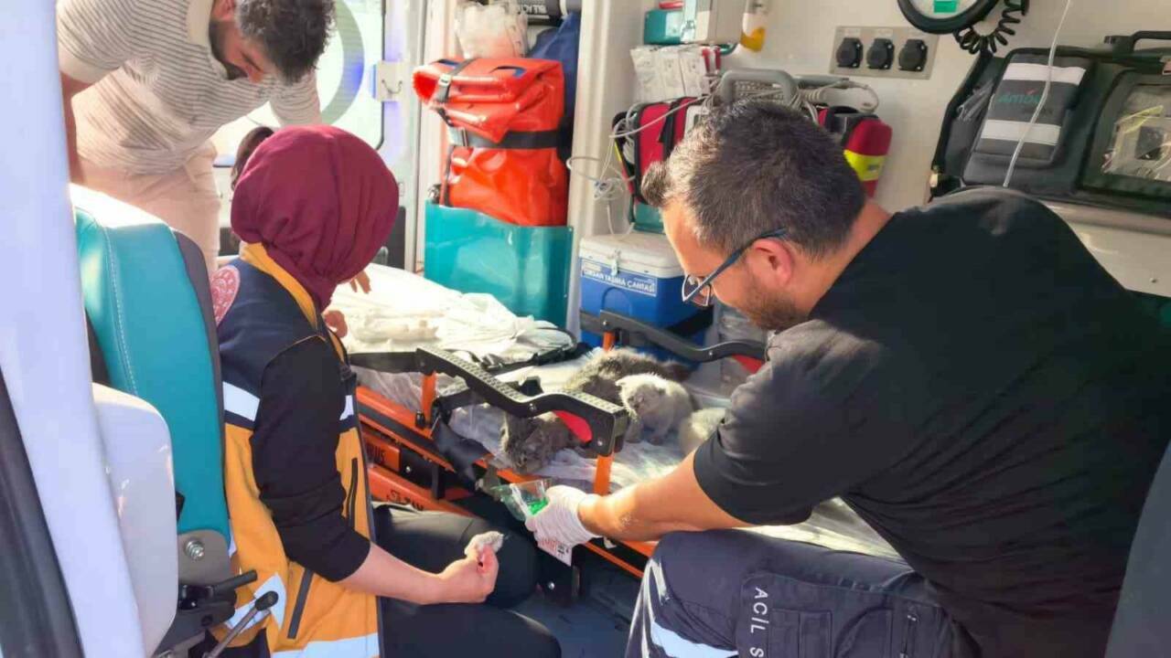 Bursa'daki yangında duygulandıran kurtarma 2 bursadaki yanginda duygulandiran kurtarma ac7f5f50a0aa