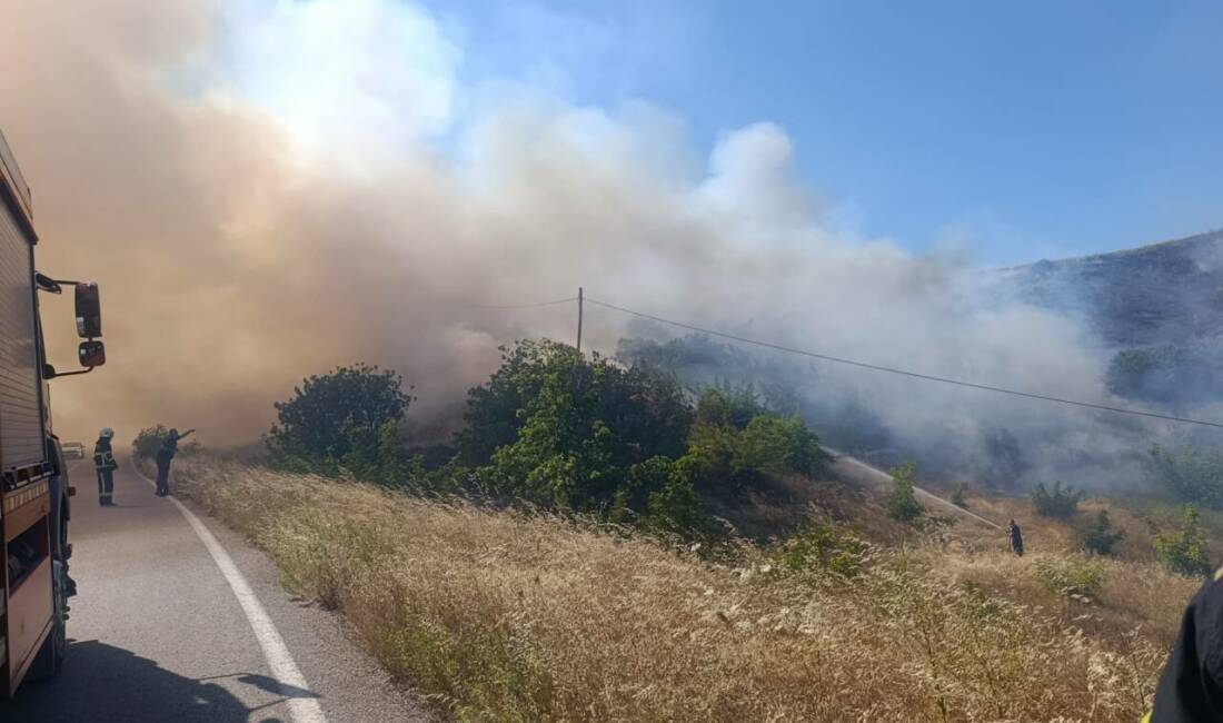 Bursa’daki yangının bilançosu açıklandı Bursa'nın İnegöl ilçesinde güneş panellerinin bulunduğu alanda çıkan yangın, hasat