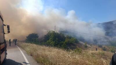 Bursa'nın İnegöl ilçesinde güneş panellerinin bulunduğu alanda çıkan yangın, hasat