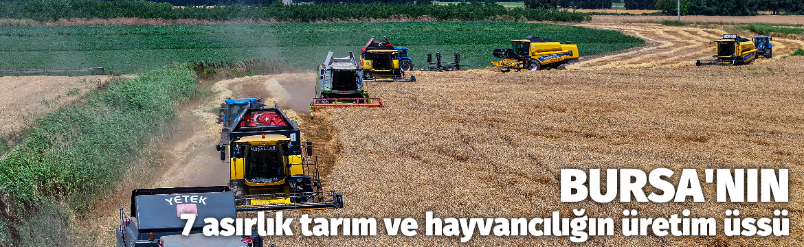 TİGEM'in Karacabey tesisleri yerli tohumluk