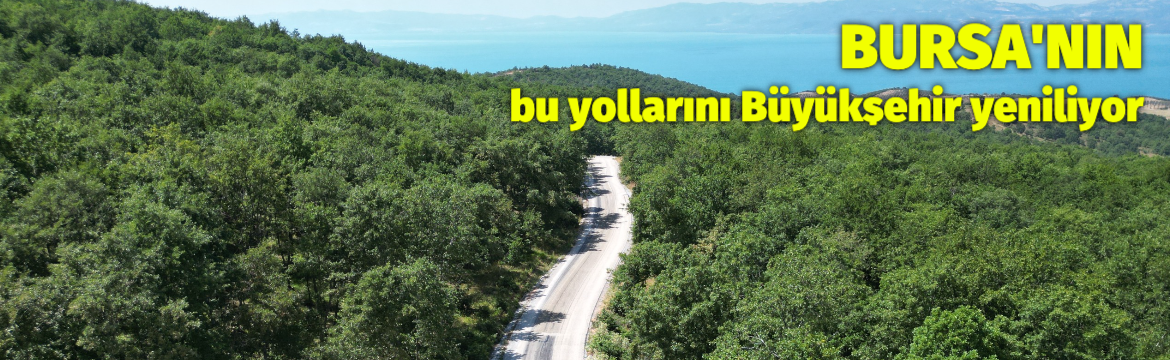 Olay Gazetesi – Ana Sayfa 3 Bursa Büyükşehir Belediyesi, 17 ilçede