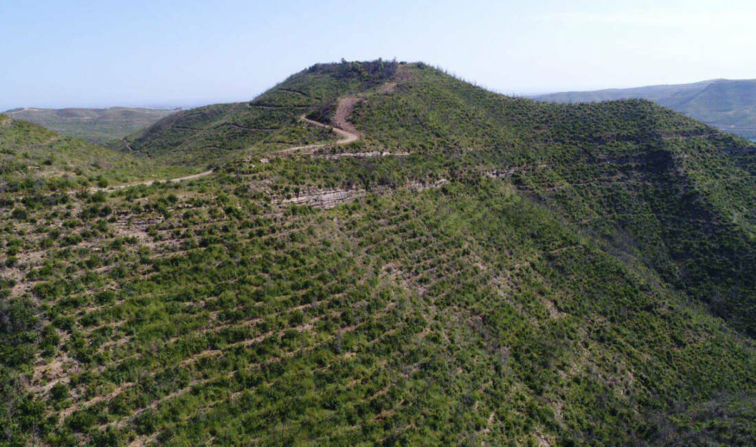 Antalya'nın Manavgat, Akseki, İbradı ve Gündoğmuş ilçelerini etkileyen Cumhuriyet tarihinin