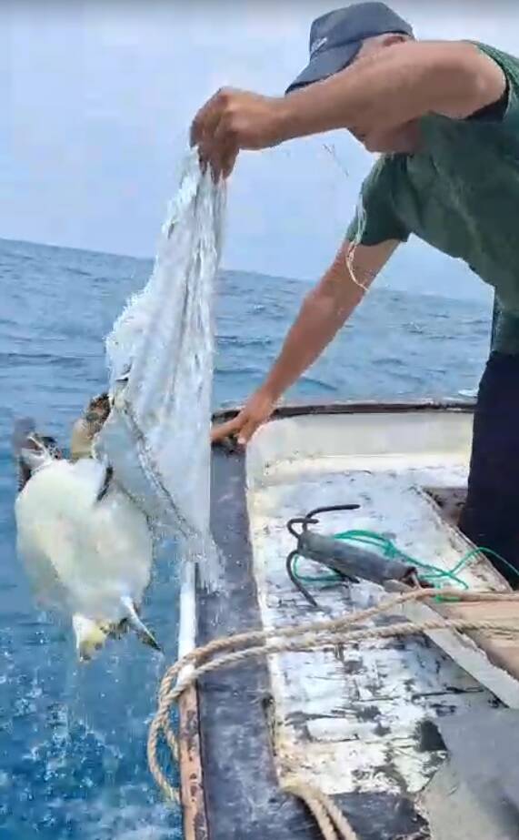 Çuvala dolanan caretta carettayı bakın nasıl kurtardılar 2 cuvala dolanan caretta carettayi bakin nasil kurtardilar 6babd4164af2