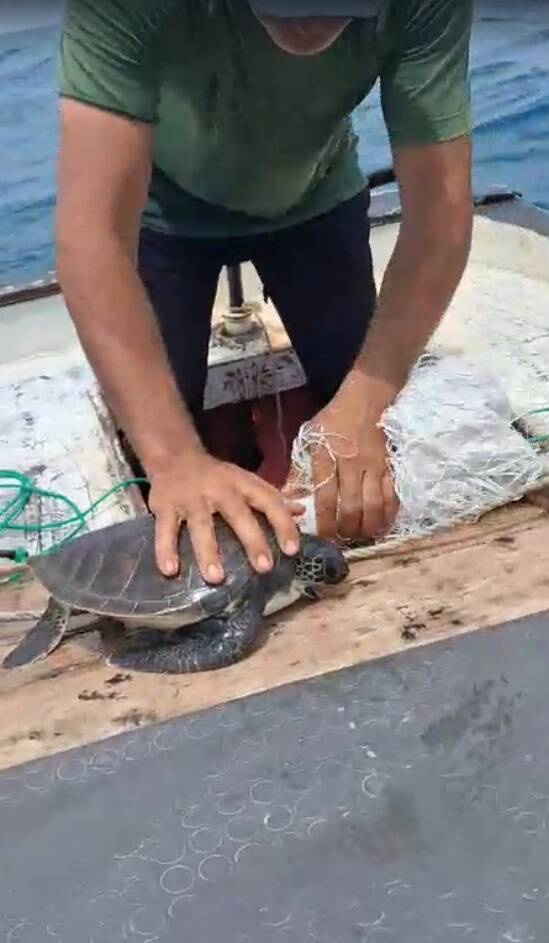 Çuvala dolanan caretta carettayı bakın nasıl kurtardılar 1 cuvala dolanan caretta carettayi bakin nasil kurtardilar ceb2ec8d12a6