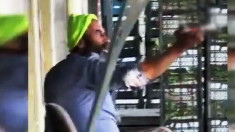 Bursa’nın İznik ilçesinde uzun süredir sebze ve meyve halinde çevreyi