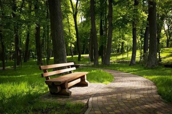 Bursa’da dikkat çeken karar: O park özel işletmeye devrediliyor! İşte ihale günü Bursa Orman İşletme Müdürlüğü, Osmangazi ilçesindeki Çağlayan Konaklamasız Orman Parkı'nın