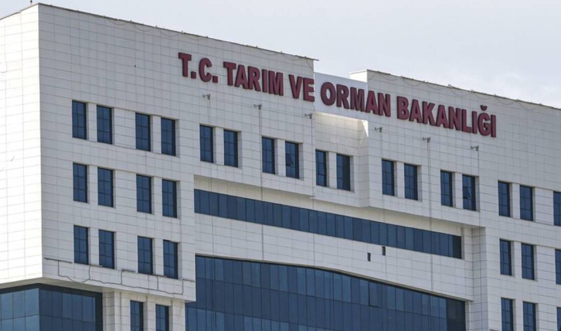 Detaylar belli oldu: 1874 personel alınacak… Tarım ve Orman Bakanlığının 1874 sözleşmeli personel istihdamına ilişkin başvurular
