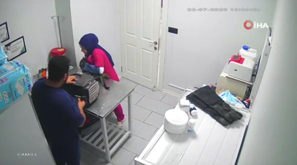 Bir kedi en fazla ne yapabilir? İşte Bursa'dan Türkiye gündemine giren görüntüler 1 ekran goruntusu 2026 07 24 125648