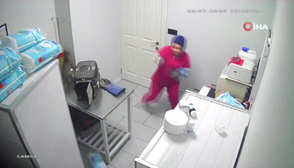 Bir kedi en fazla ne yapabilir? İşte Bursa'dan Türkiye gündemine giren görüntüler 2 ekran goruntusu 2026 07 24 125802