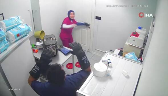 Bir kedi en fazla ne yapabilir? İşte Bursa’dan Türkiye gündemine giren görüntüler Bursa’da kısırlaştırılmak üzere veteriner kliniğine getirilen sokak kedisi, operasyon öncesinde