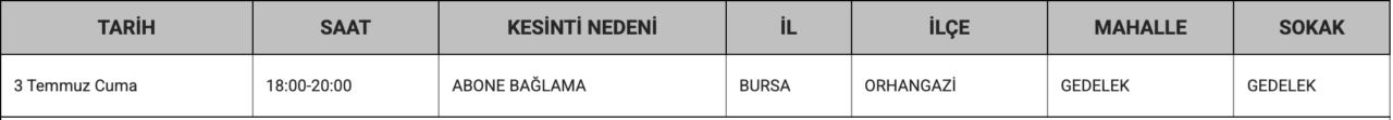 Bursa'da elektrikler kesilecek! Hafta sonuna dikkat: İşte o ilçe ve mahalleler 79 ekran resmi 2026 07 02 160959
