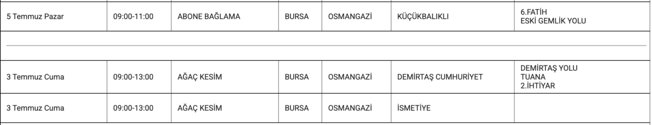 Bursa'da elektrikler kesilecek! Hafta sonuna dikkat: İşte o ilçe ve mahalleler 83 ekran resmi 2026 07 02 161234