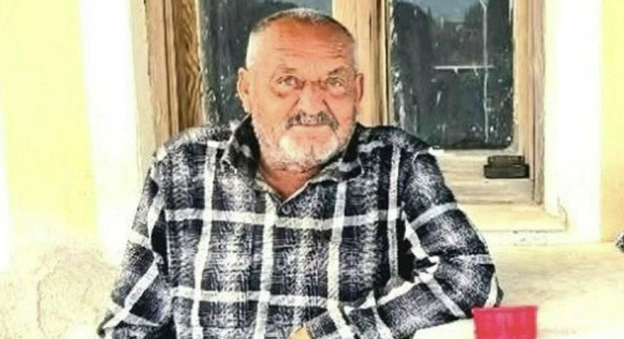 Evde uyurken ayı saldırısına uğrayan kişi öldü 3 ekran resmi 2026 07 04 221623