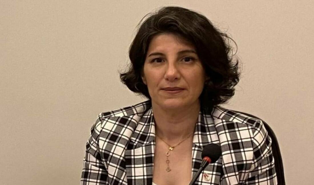 Bursa’da ‘Arilik Sertifikası’ kriziyle ilgili VHO’dan açıklama Bursa Veteriner Hekimler Odası Başkanı Melike Baysal, Bursa'da yaşanan arilik sertifikası