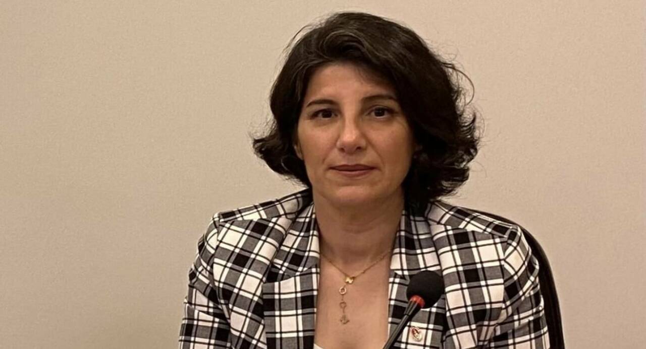 Bursa Veteriner Hekimler Odası Başkanı Melike Baysal, Bursa'da yaşanan arilik sertifikası