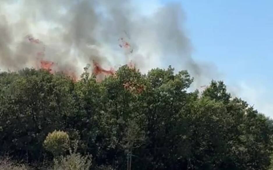 Bursa’daki orman yangınıyla ilgili yeni gelişme Bursa’nın Kestel ilçesi Aktaştepe mevkisinde çıkan orman yangını, ekiplerin yoğun