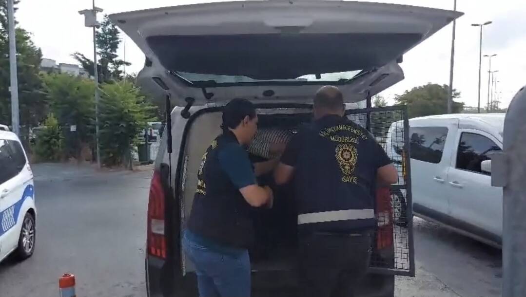 Eşi korkudan erken doğum yaptı 4 esi korkudan erken dogum yapti 8de598acf8f7