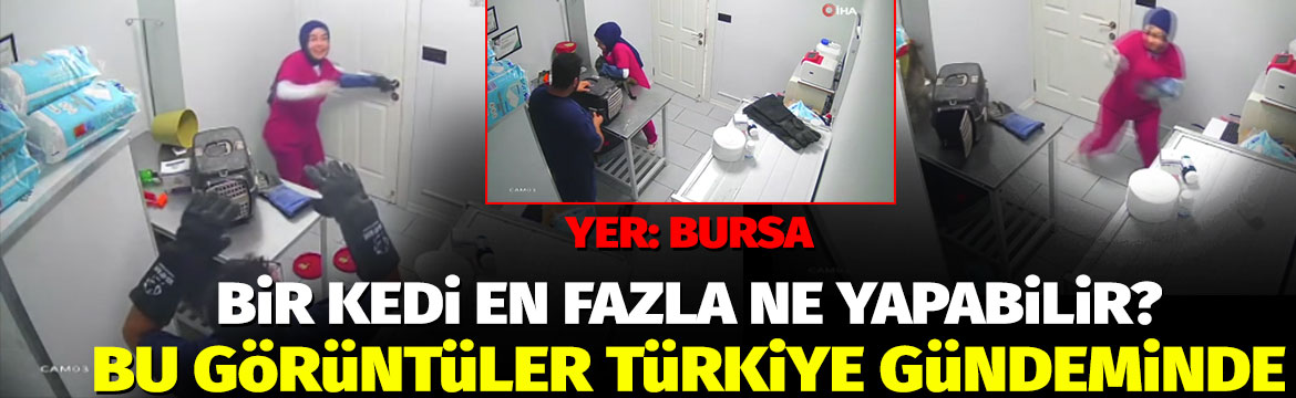Olay Gazetesi – Ana Sayfa 2 Bursa’da kısırlaştırılmak üzere veteriner kliniğine