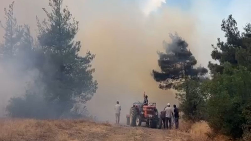 Bursa’daki yangınla ilgili Orman Bölge Müdürlüğü’nden kritik uyarı! Bursa'nın Büyükorhan ilçesinde çıkan orman yangınıyla ilgili Orman Bölge Müdürlüğü'nden