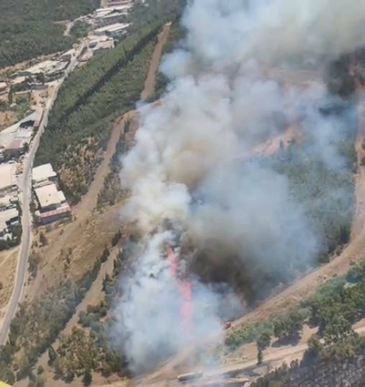 İzmir'de orman yangını 3 izmirde orman yangini 2e30f7bba31e