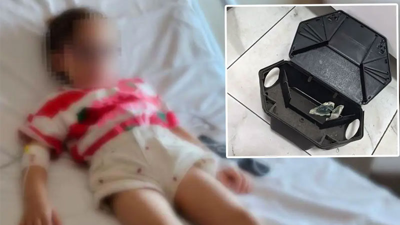 Kreşte akılalmaz ihmal! Küçük çocuk kutuyu açtı, karantinaya alındı Kocaeli'nin Gölcük ilçesinde bir kreşteki oyun alanında fare zehiriyle temas