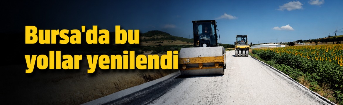 Bursa Büyükşehir Belediyesi, Nilüfer ilçesi