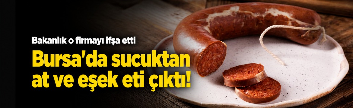 Olay Gazetesi – Ana Sayfa 2 Tarım ve Orman Bakanlığı'nın taklit