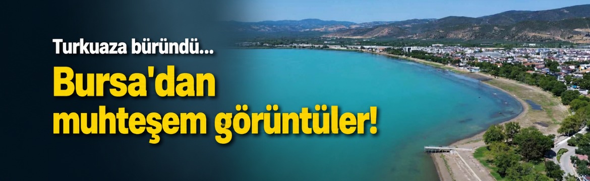 İznik Gölü, plankton patlaması sonrası
