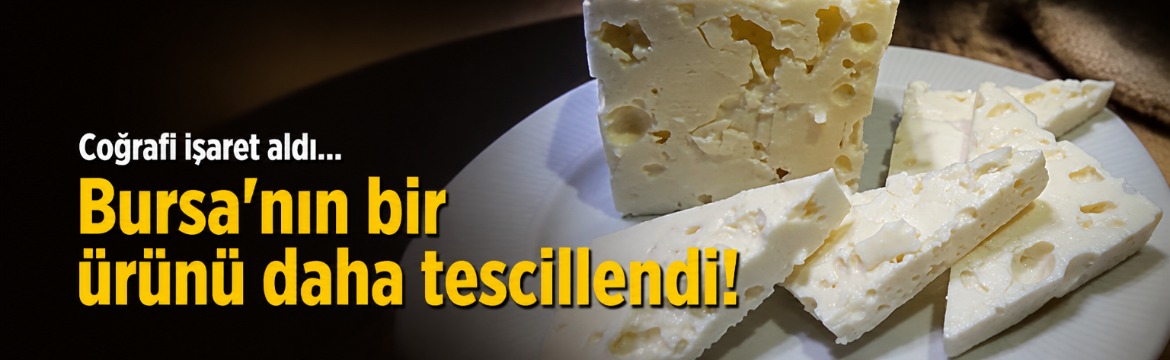 Olay Gazetesi – Ana Sayfa 4 Olay Gazetesi Yazarı Ahmet Emin