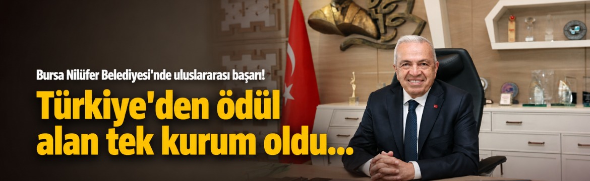 Nilüfer Belediyesi, Avrupa Kamu Sektörü