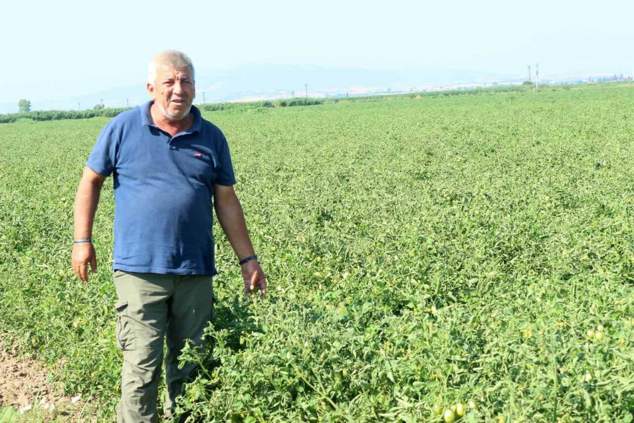manyas golunden gelen ilacli su sorununa uretici cozum bekliyor 7cf378389915