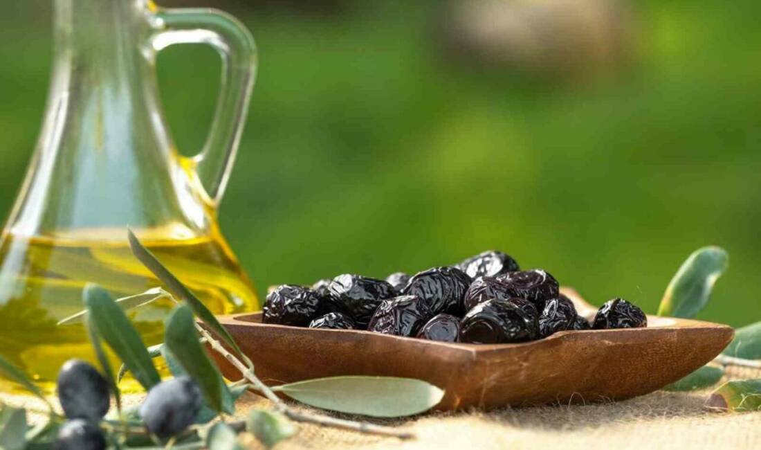 Marmarabirlik’ten üreticiye akaryakıt desteği Marmara Zeytin Tarım Satış Kooperatifleri Birliği (Marmarabirlik), ortak üreticilerin artan