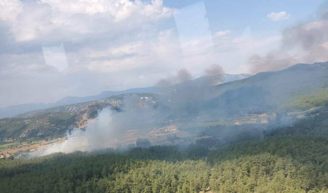 Muğla’da orman yangını Muğla'nın Menteşe ilçesinde, tarım arazisinde çıkan yangın ormana sıçradı. Bölgeye