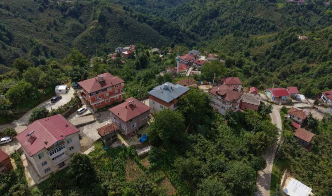 Karadeniz fıkrası gibi! Bu mahallede herkesin soyadı aynı Ordu'nun Perşembe ilçesine bağlı Yazlık Mahallesi, Karadeniz fıkralarını aratmayan sıra